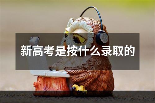 新高考是按什么录取的