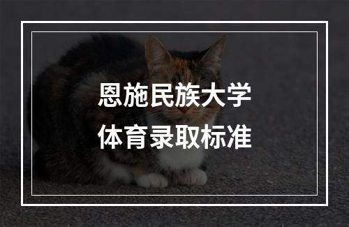 恩施民族大学体育录取标准