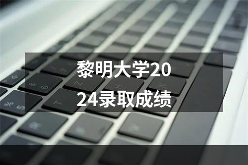 黎明大学2024录取成绩