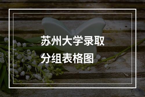 苏州大学录取分组表格图