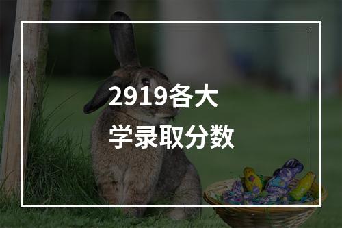 2919各大学录取分数