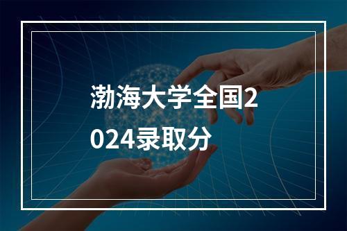 渤海大学全国2024录取分