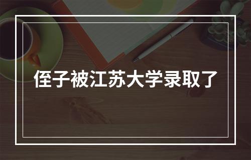 侄子被江苏大学录取了