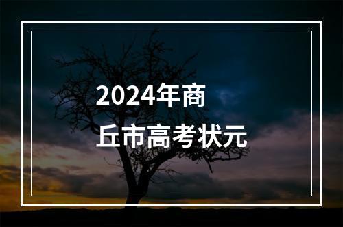 2024年商丘市高考状元