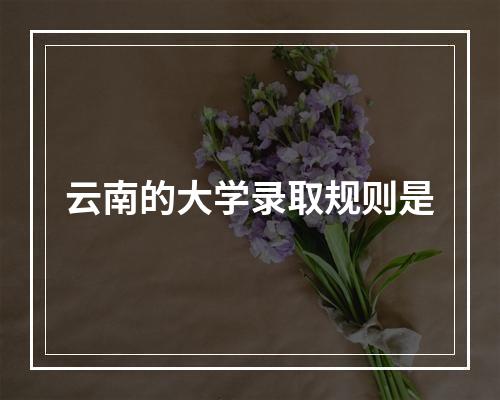 云南的大学录取规则是