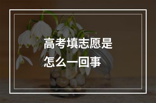 高考填志愿是怎么一回事