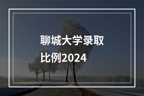 聊城大学录取比例2024