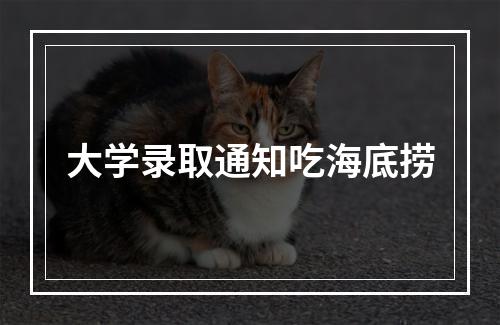 大学录取通知吃海底捞