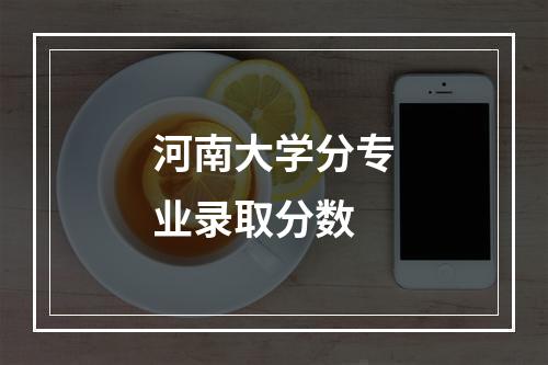 河南大学分专业录取分数