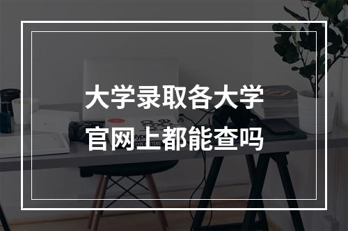 大学录取各大学官网上都能查吗