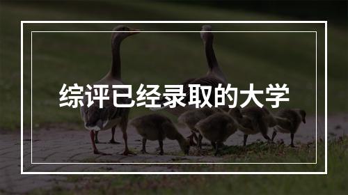 综评已经录取的大学