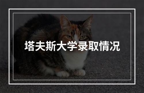 塔夫斯大学录取情况