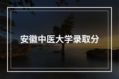 安徽中医大学录取分