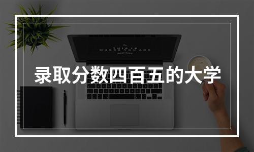 录取分数四百五的大学