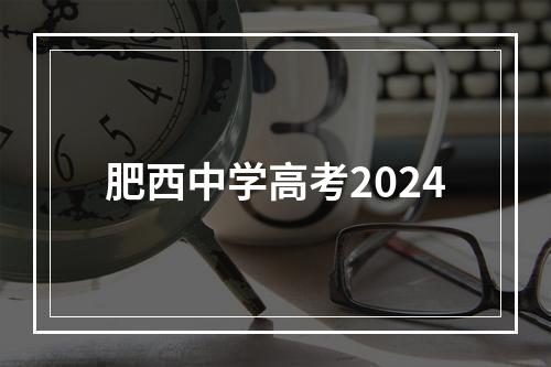 肥西中学高考2024