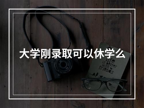 大学刚录取可以休学么