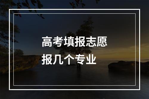 高考填报志愿报几个专业