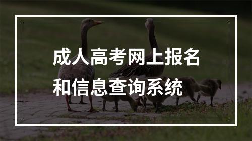 成人高考网上报名和信息查询系统