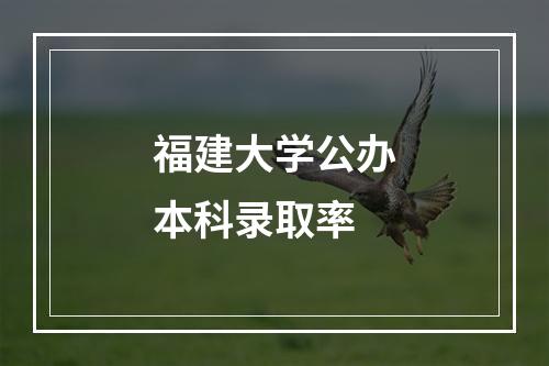 福建大学公办本科录取率