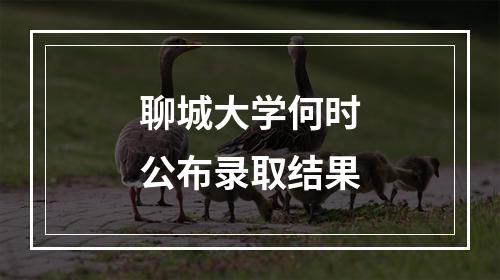 聊城大学何时公布录取结果