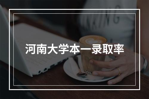 河南大学本一录取率