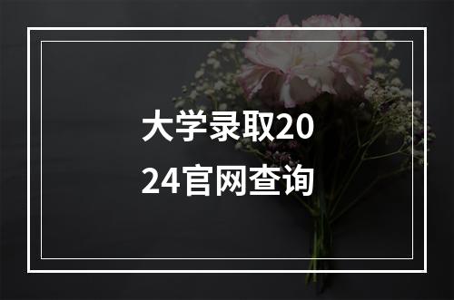 大学录取2024官网查询