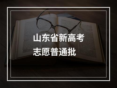 山东省新高考志愿普通批