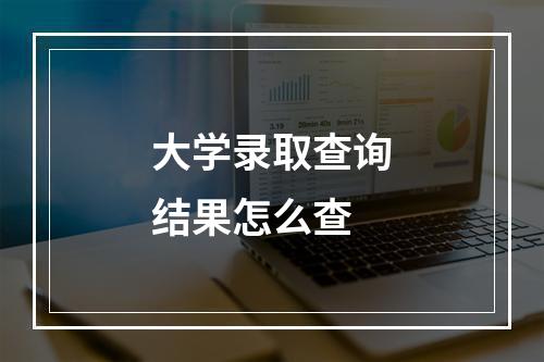 大学录取查询结果怎么查