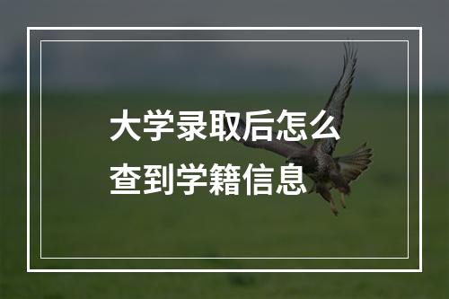 大学录取后怎么查到学籍信息