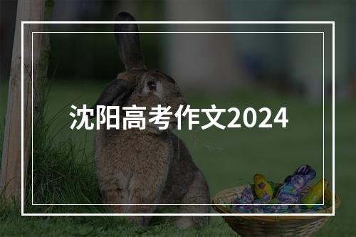 沈阳高考作文2024