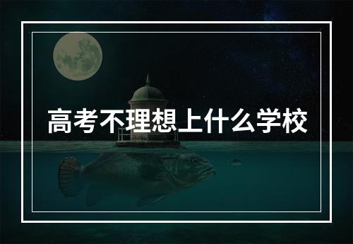 高考不理想上什么学校