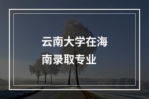 云南大学在海南录取专业