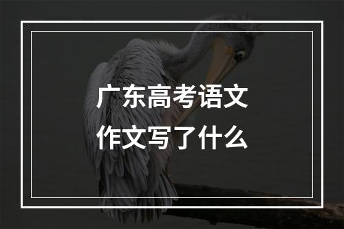 广东高考语文作文写了什么