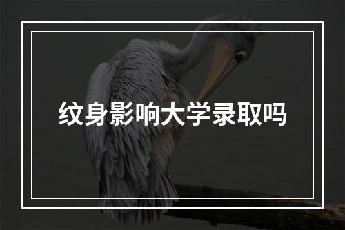 纹身影响大学录取吗