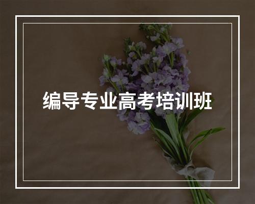 编导专业高考培训班