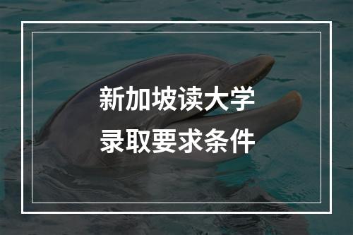 新加坡读大学录取要求条件