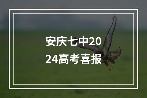 安庆七中2024高考喜报