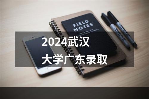 2024武汉大学广东录取