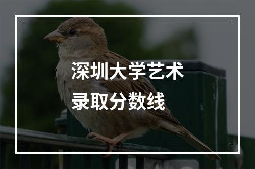 深圳大学艺术录取分数线