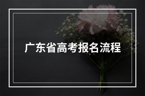 广东省高考报名流程