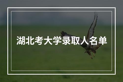 湖北考大学录取人名单