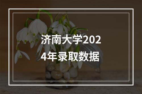 济南大学2024年录取数据