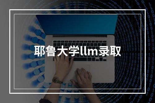 耶鲁大学llm录取