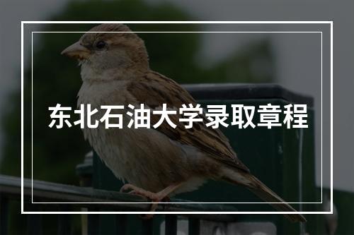 东北石油大学录取章程