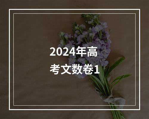 2024年高考文数卷1