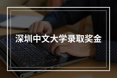 深圳中文大学录取奖金