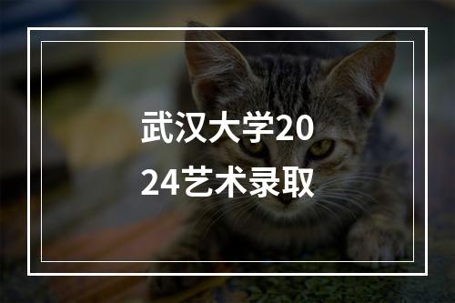 武汉大学2024艺术录取