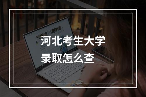 河北考生大学录取怎么查