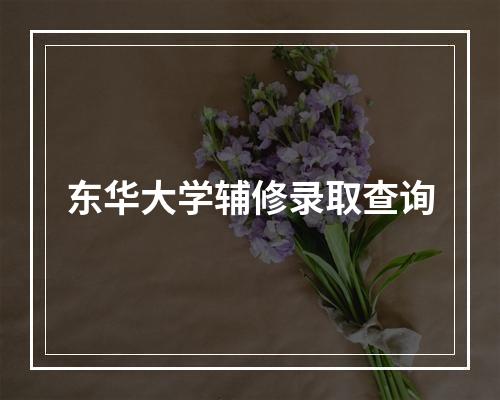 东华大学辅修录取查询