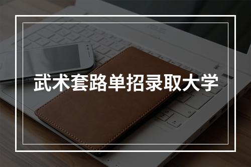 武术套路单招录取大学